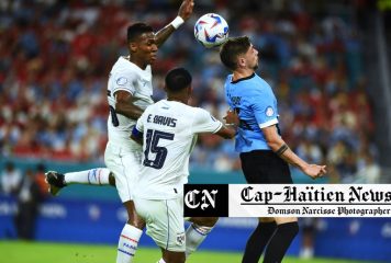 L&rsquo;image la plus mignonne de la Copa America 2024: Uruguay vs Panama